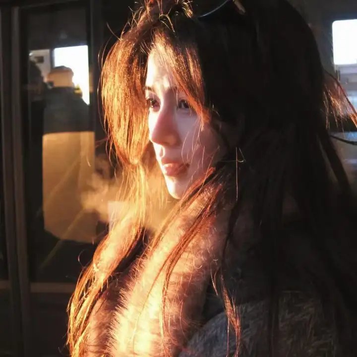 多情的野猫